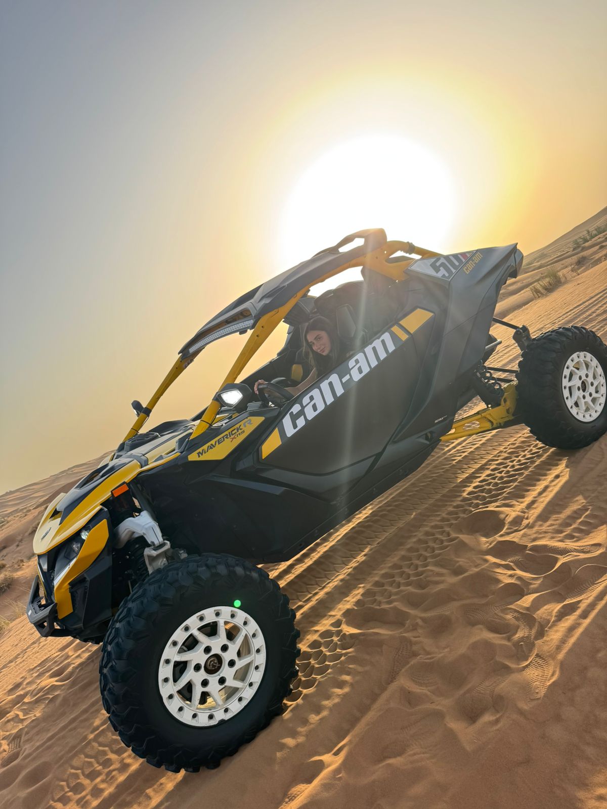 6006698a-a955-4aaa-91e3-f9711bcec819